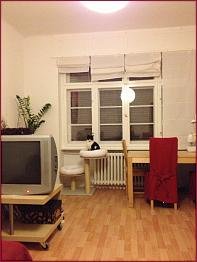 fenster.jpg fenster.jpg