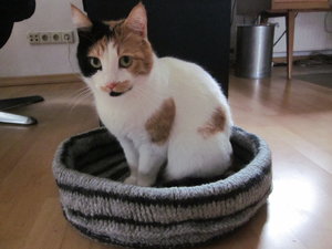 kATZENBETTCHEN 001.JPG