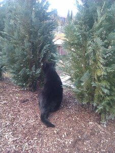 IMAG0368 - Kopie.jpg