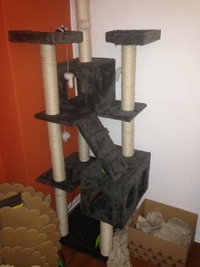 2013-03-01 19.45.06.jpg