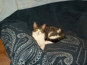 Lexy (2) (Medium).JPG