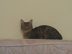 2013-03-03 15.27.45.jpg