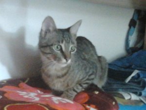 2013-03-03 15.10.11.jpg