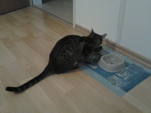 2013-03-04 17.39.43.jpg