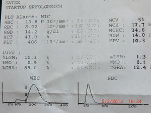 Katze_Attest (1).JPG