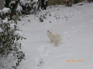 IMGP0715 (640x480).jpg