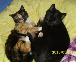 2013-03-04_Momo & Merle_11.jpg