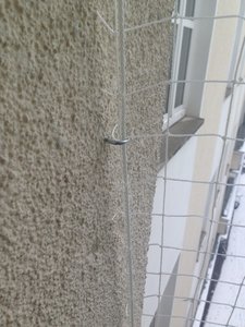 ImageUploadedByTapatalk1362910811.361128.jpg ImageUploadedByTapatalk1362910811.361128.jpg