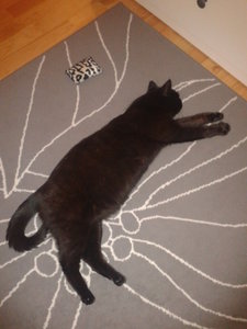 2013-03-08 20.49.45.jpg