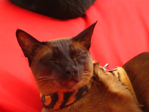 Ausgang 05.09.2008 009.jpg