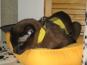 Mittwoch in Hamm 005.jpg