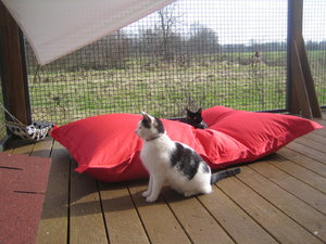 Mittwoch in Hamm 003.jpg