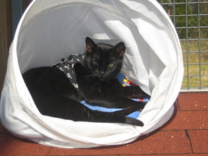 Ein Sonnentag die Dritte 003.jpg