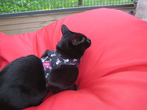 Urlaub April Mai 09 003.jpg