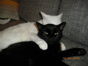 IMGP0813 (800x600).jpg