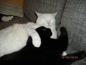 IMGP0821 (800x600).jpg