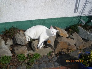 IMGP0823 (800x600).jpg