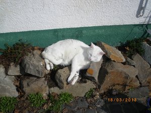 IMGP0824 (800x600).jpg