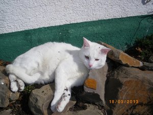 IMGP0826 (800x600).jpg