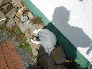 IMGP0827 (800x600).jpg