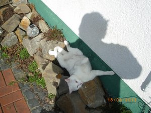 IMGP0828 (800x600).jpg