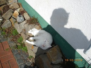 IMGP0829 (800x600).jpg