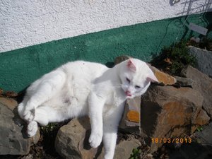 IMGP0830 (800x600).jpg