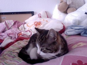 Foto am 18-03-2013 um 12.05.jpg