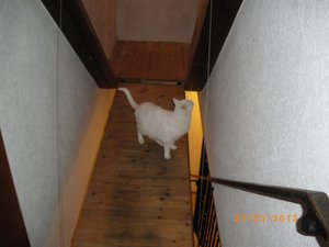 IMGP0937 (800x600).jpg