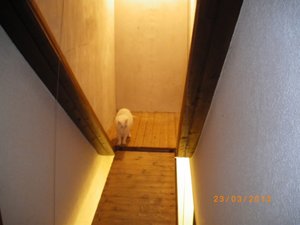 IMGP0940 (800x600).jpg