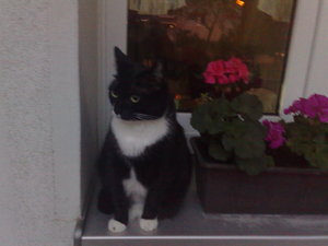 Kyra im Dunkeln 1.jpg