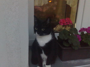 Kyra im Dunkeln 2.jpg