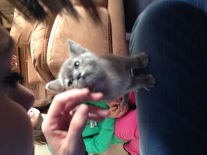 Cheeky gaaanz groß.JPG