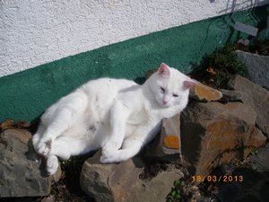 IMGP0832 (800x600).jpg