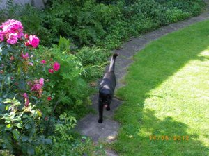 IMGP0307 (800x600).jpg