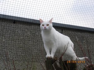 IMGP0959 (800x600).jpg