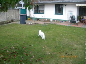 IMGP0963 (800x600).jpg