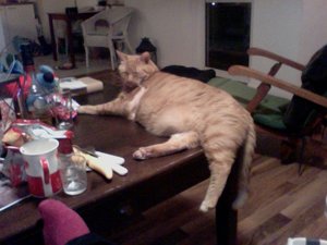 Foto am 30-03-2013 um 20.28.jpg