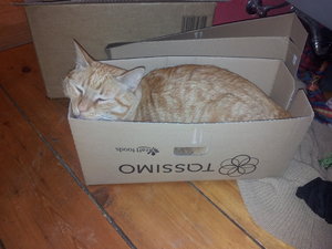 Handysicherung 284.jpg