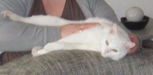 IMGP1025 (800x397).jpg