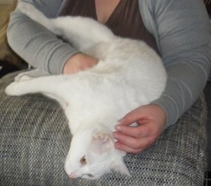 IMGP1026 (800x600).jpg