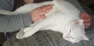 IMGP1028 (800x394).jpg