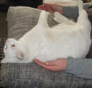 IMGP1030 (800x770).jpg