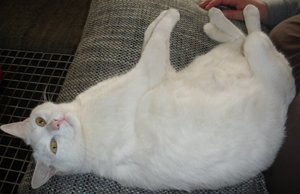 IMGP1032 (800x517).jpg