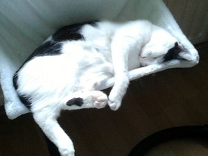 2013-03-10 15.33.00.jpg