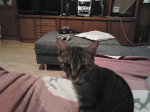 2013-03-22 18.49.05.jpg