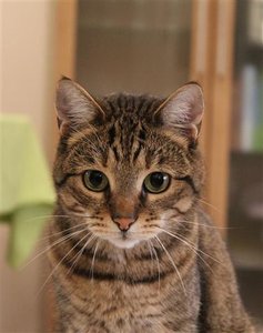 IMG_0746 (Small).JPG