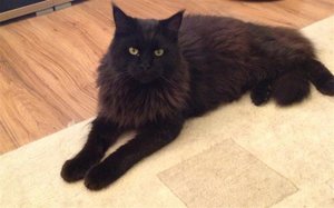 IMG_0027 (Small).JPG