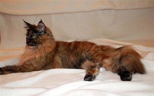 IMG_1996 (Small).JPG