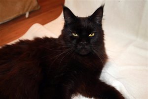 IMG_2020 (Small).JPG